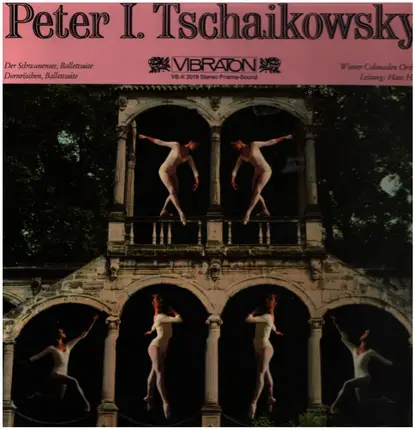 Tchaikovsky - Der Schwanensee / Dornröschen