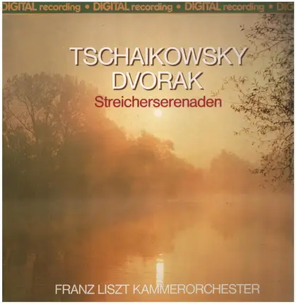 Tchaikovsky / Dvorak - Streicherserenaden