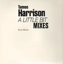 2 x 12'' - Tamee Harrison - A Little Bit (Mixes)