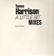 2 x 12'' - Tamee Harrison - A Little Bit (Mixes)