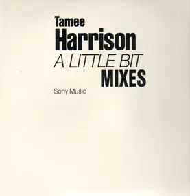 tamee harrison - A Little Bit (Mixes)