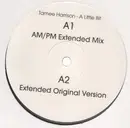 12inch Vinyl Single - Tamee Harrison - A Little Bit