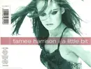 CD Single - Tamee Harrison - A Little Bit