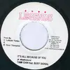 7inch Vinyl Single - Tami Chynn Feat. Busy Signal / Rock Supreme - It's All Because Of You / Rebirth Of The Classics