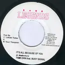 7inch Vinyl Single - Tami Chynn Feat. Busy Signal / Rock Supreme - It's All Because Of You / Rebirth Of The Classics