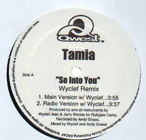 Tamia - So Into You (Wyclef Remix)