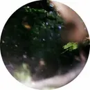 12inch Vinyl Single - Tammo Hesselink - Borrowed Wheels - EP