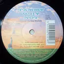 12inch Vinyl Single - Tammy Why Not - Party On The Prairie