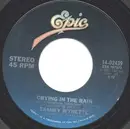 7'' - Tammy Wynette - Crying In The Rain / Bring Back My Baby To Me