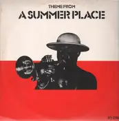 Tan Tan - Theme From A Summer Place