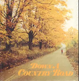 Tanya Tucker - Down A Country Road