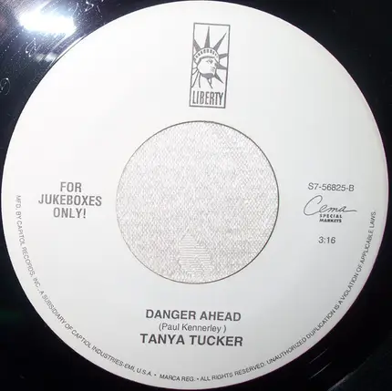 Tanya Tucker - Two Sparrows In A Hurricane
