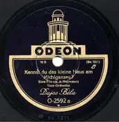Tanz-Orchester Dajos Béla - Kennst Du Das Kleine Haus Am Michigansee? / Wer Weiß Ob Deine Augen Lügen