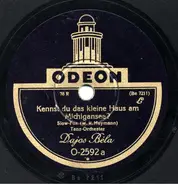 Tanz-Orchester Dajos Béla - Kennst Du Das Kleine Haus Am Michigansee? / Wer Weiß Ob Deine Augen Lügen