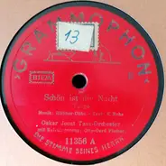 Tanzorchester Oskar Joost , Otto Gerd Fischer - Schön Ist Die Nacht / Es Müßte Frühling Sein