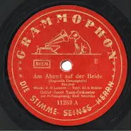 Tanzorchester Oskar Joost - Am Abend auf der Heide / Böhmische Polka - Skoda Lásky (Rosamunde Frag' Doch Nicht Erst Die Mama)