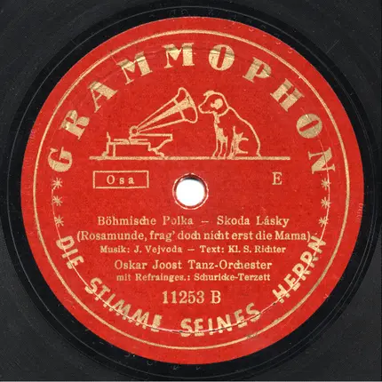 Tanzorchester Oskar Joost - Am Abend auf der Heide / Böhmische Polka - Skoda Lásky (Rosamunde Frag' Doch Nicht Erst Die Mama)