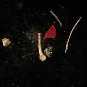 LP & MP3 - Tannhäuser Sterben & das Tod - Eigengift