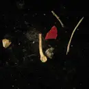 LP & MP3 - Tannhäuser Sterben & das Tod - Eigengift