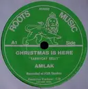 12inch Vinyl Single - Tabby Cat Kelly - Christmas Is Here