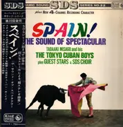 Tadaaki Misago & Tokyo Cuban Boys - Spain! The Sound Of Spectacular