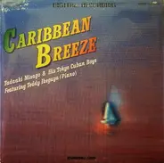 Tadaaki Misago & Tokyo Cuban Boys - Caribbean Breeze