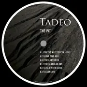 12inch Vinyl Single - Tadeo - The Pit
