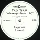 12inch Vinyl Single - Tag Team - Whoomp! (There It Is)