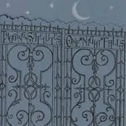 Tagging Satellites - One Night Falls