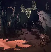 Taiga Woods