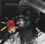 CD - Taj Mahal - The Rising Sun Collection