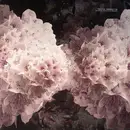 12inch Vinyl Single - Takuya Yamashita - Daybreak (Mirko Loko Remixes)