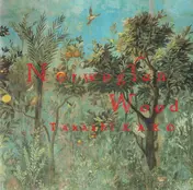 takashi kako - Norwegian Wood