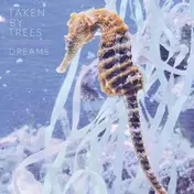 taken by trees - Dreams Never Die