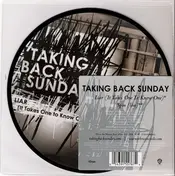 Taking Back Sunday - Liar (It Takes One To Know One)