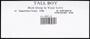 Tall Boy