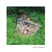 talons' - After Talons'