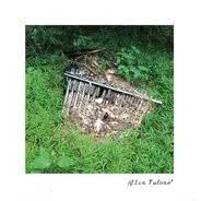 Talons' - After Talons'