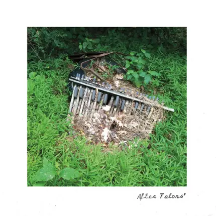 Talons' - After Talons'