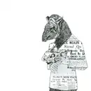 12inch Vinyl Single - Tapirus - From The Rough Ends - EP