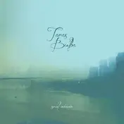 Taras Bulba - Soul Weaver