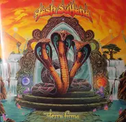 Tash Sultana - Terra Firma