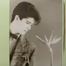 LP - Tatsuhiko Yamamoto - Romantic View = ロマンティック・ビュー