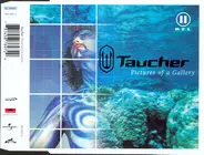 Taucher - Pictures Of A Gallery