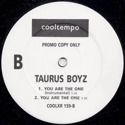 Taurus Boyz - You Are The One (The Remix)