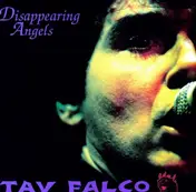 Tav Falco - Disappearing Angels 10'