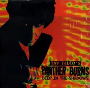 Tav Falco's Panther Burns - Deep in the Shadows