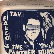 Tav Falco's Panther Burns - She's The One To Blame !