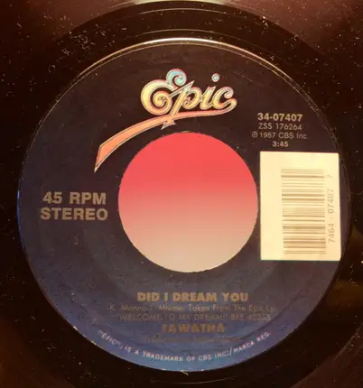 Tawatha - Did I Dream You