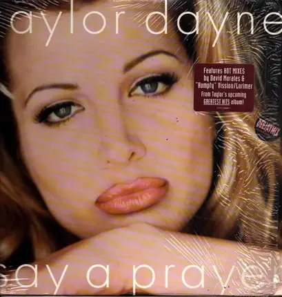 Taylor Dayne - Say A Prayer